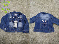Джинсовая куртка для девочек оптом, S&D, 2-6 лет, арт. DT165, фото 7
