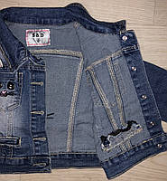 Джинсовая куртка для девочек оптом, S&D, 2-6 лет, арт. DT165, фото 5