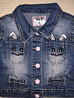 Джинсовая куртка для девочек оптом, S&D, 2-6 лет, арт. DT165, фото 2