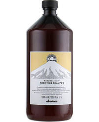 Шампунь очисний проти лупи DAVINES NATURAL TECH Purifying Shampoo 1000 мл