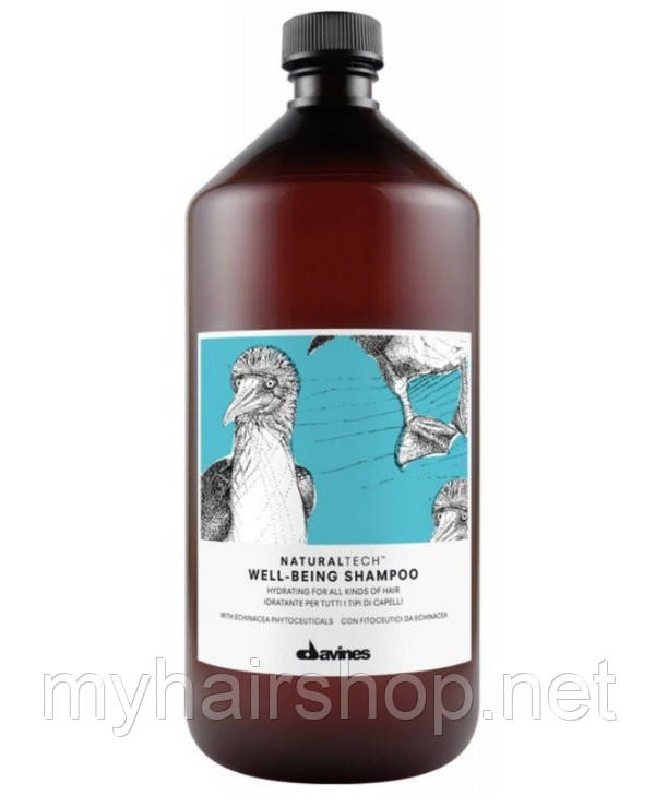 Шампунь зволожувальний DAVINES NATURAL TECH Well-being shampoo 1000 мл