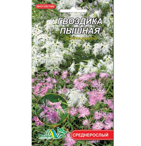 Насіння Гвоздика Пишна різні кольори багаторічник середньорослий 0.1 г, фото 1