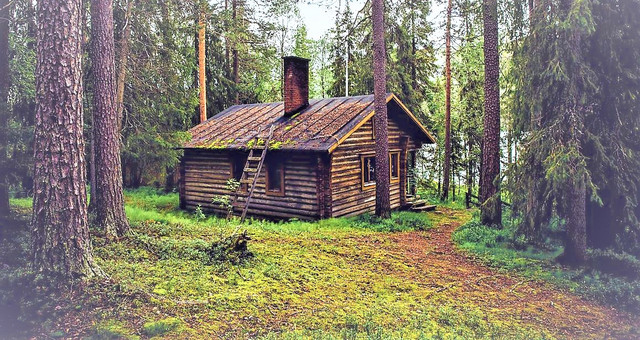 Будівництво дерев'яних будинків фото