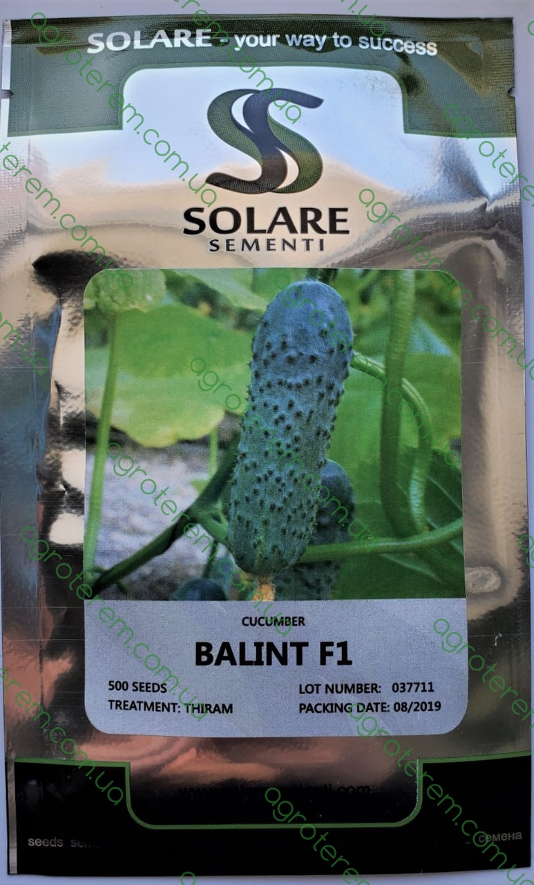 Огірок Балінт 500 д/п 8/2019, фото 1