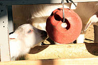 Соль-лизунец для овец и коз "SELCO BLOCK" 3 кг (ROYAL ILAC, Великобритания-Турция)