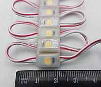 LED модуль RISHANG SMD2835 0,2W 1Led 12V (IP65) 6000K Pure White