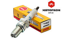 Свічка мотоцикл Geon X-Road 200,250 (light) NGK DR8EA