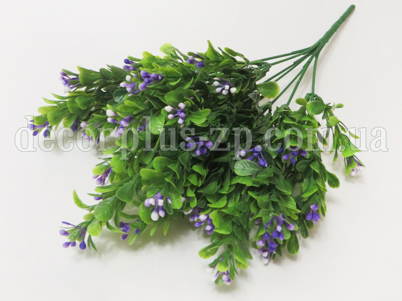 Букет самшита квітучого. Фіолетовий, фото 1