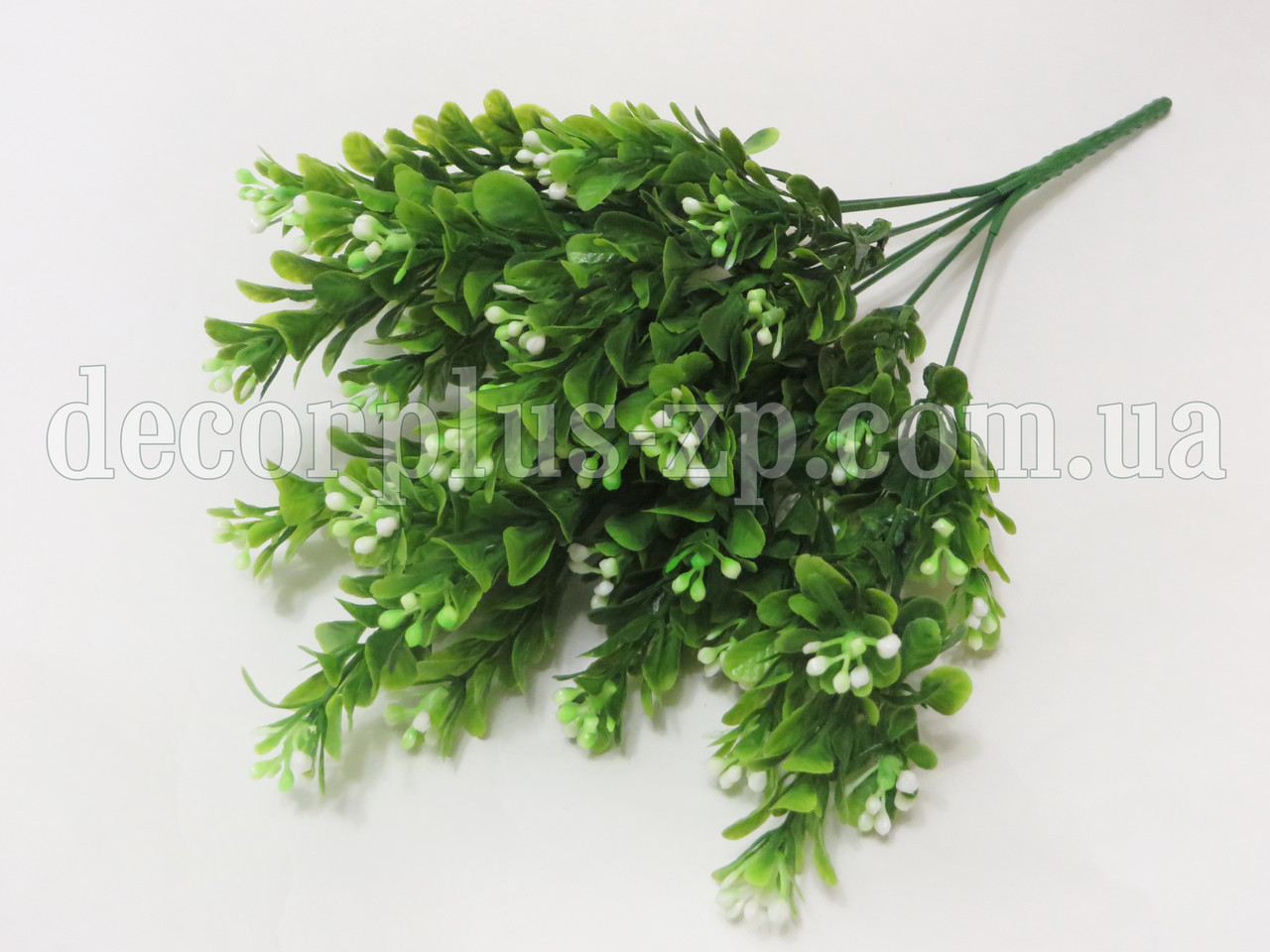 Букет самшита квітучого. Білий, фото 1