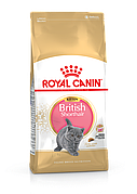 Royal Canin Kitten British Shorthair 10кг Роял Канін для кошенят британської короткошерстной до 12 місяців