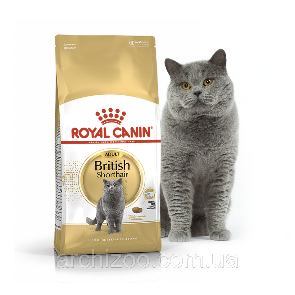 Royal Canin British Shorthair 10кг Роял Канін для кішок породи британська короткешерстная старше 12 місяців