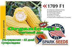 Насіння, швидкостигле, цукрова кукурудза ФОРВАРД (1709) F1 США, фермерське паковання (25 000 насіння)
