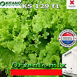 Салат KS 129 F1 ТМ KITANO SEEDS (Гландія) проф. пакет 5 грамів, фото 3