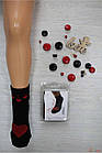 ОПТОМ Шкарпетки темні з сердечком р.35-40 (24-26(38-40) см.)  Pier Lone 8681105080887, фото 3