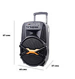 Портативна колонка Temeisheng A15-41 з радіомікрофонами (USB/Bluetooth), фото 3