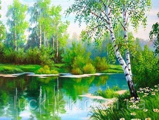 Алмазна вишивка берези, природа 40х30 см, повна викладка, квадратні стрази