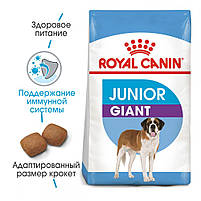 Royal Canin Giant Junior корм для цуценят від 8-24 місяців, 15 кг, фото 2