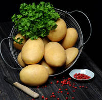 Картофель семенной БЕРНИНА/BERNINA-P/CT-5kg