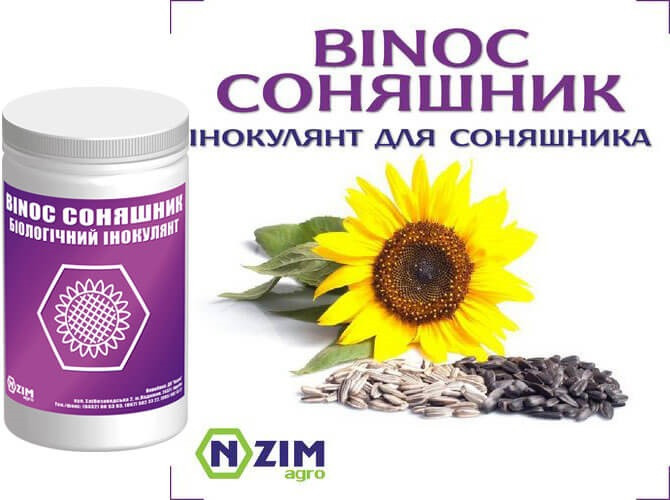 Інокулянт ENZIM BINOC СОНЯШНИК 0.5 кг