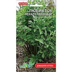 Насіння Любисток 0.25 г лікарський багаторічник