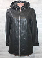 Куртка жіноча полубатальная KASIQI кожзам, розміри 50-60 (4кол) "MEGANE" купити недорого від прямого