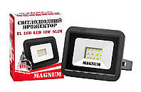 Прожектор світлодіодний MAGNUM FL ECO 10Вт LED slim 6500К IP65