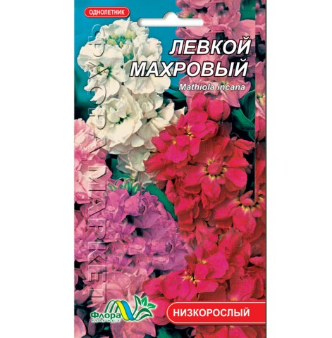 Насіння Левкой махровий різні кольори однорічник низькорослий 0.25 г