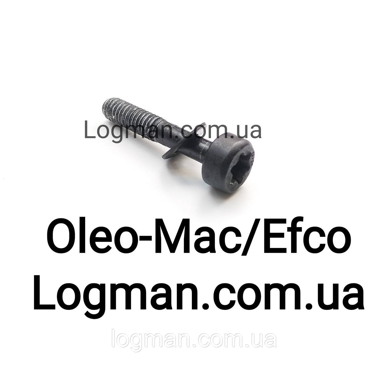 Оригінальний болт/гвинт/саморіз Oleo-Mac GSH 40,400/Efco MTH 400,4000, фото 1