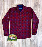 Святковий комплект стиляги для хлопчика 3-4 роки: бордові сорочка і сині штани Polo або Armani, фото 3