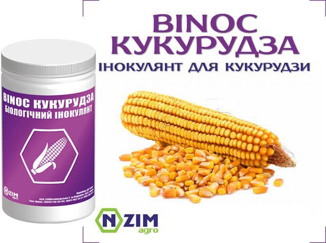 Інокулянт ENZIM BINOC КУКУРУДЗА 0,5 кг
