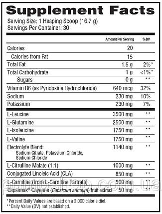 Амінокислоти+жироспалювач Scivation Xtend Ripped + BCAAs 501 г (30 порц.), фото 4