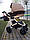 Дитяча коляска 2 в 1 Avalon, фото 2