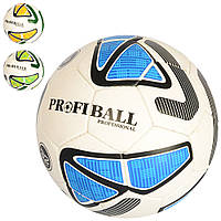 Мяч футбольный PROFI 2500-156 ручная робота 32 панели