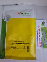 Насіння дині Раймонд F1 (Hazera), 1 000 насінин — середньостиглий (70-75 днів), овальна, тип Ананас