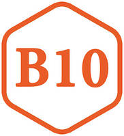 B10 (ПАБК)
