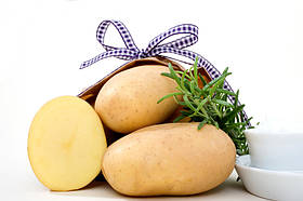 Картопля насіннева ДЖЕЛІ/DJELI-P/CT-5kg