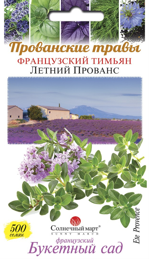 Насіння Французький чебрець Літній Прованс 500 шт.