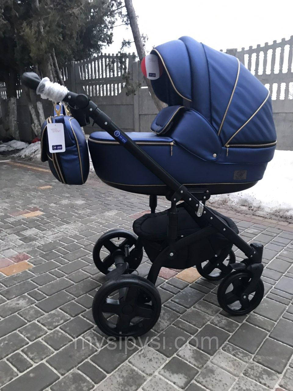 Дитяча коляска 2 в 1 Baby Pram Ecco