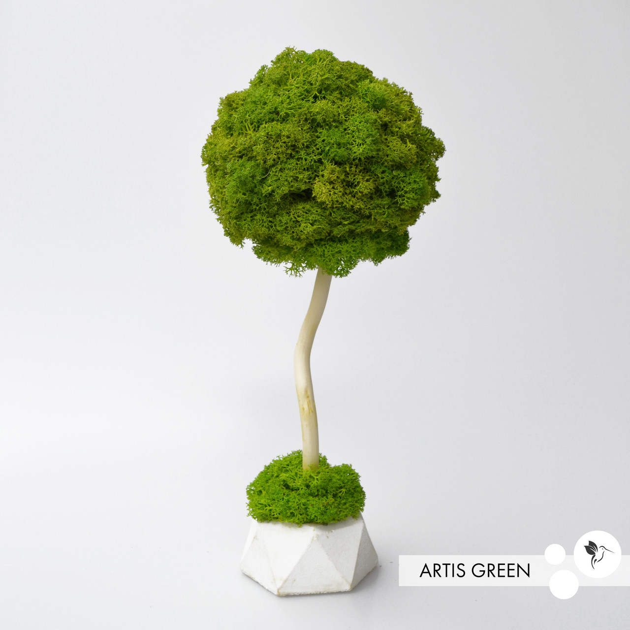 Декоративне дерево зі справжнім мохом Fresh Tree, топіарій 20 cm