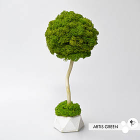 Декоративне дерево зі справжнім мохом Fresh Tree, топіарій 20 cm