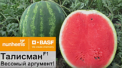 Насіння кавуна Талісман F1, 1000 насінин, Nunhems