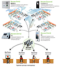 WEB-система обліку робочого часу для віддалених об'єктів, магазинів, офісів, складів ZKTeco BioTime 8, фото 3