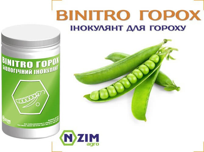 Інокулянт ENZIM BINITRO ГОРОХ СФ 1 кг