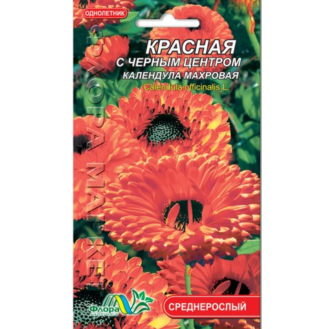 Насіння Календула махрова Червона з чорною серединою однорічник середньорослий 0.2 г