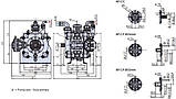 1210 Насос  Annovi Reverberi 185 bp C/C+CA+PC+VSR PUMP, фото 2