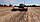 Мульчувальник валкоутворювач залишків кукурудзи Loftness Windrower 20, фото 3
