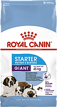 Royal Canin Giant Starter - корм для дуже великих щенят до 2 місяців, вагітних і годуючих сук 1 кг