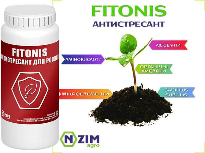 Стимулятор росту ENZIM FITONIS (антистресант) 1 л