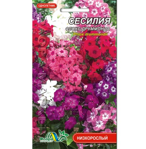 Насіння Флокс друммонда Сесілія різні кольори однорічник низькорослий 0.1 г, фото 1