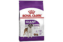 Royal Canin Giant Adult - корм для собак великих порід старше 18/24 місяців 4 кг